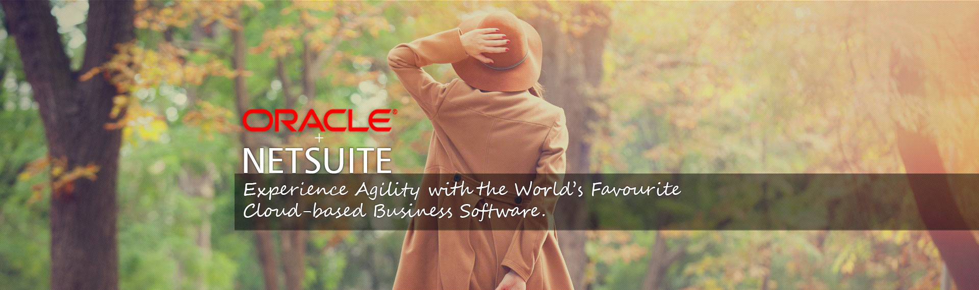 Netsuite Cloud Based Erp Software